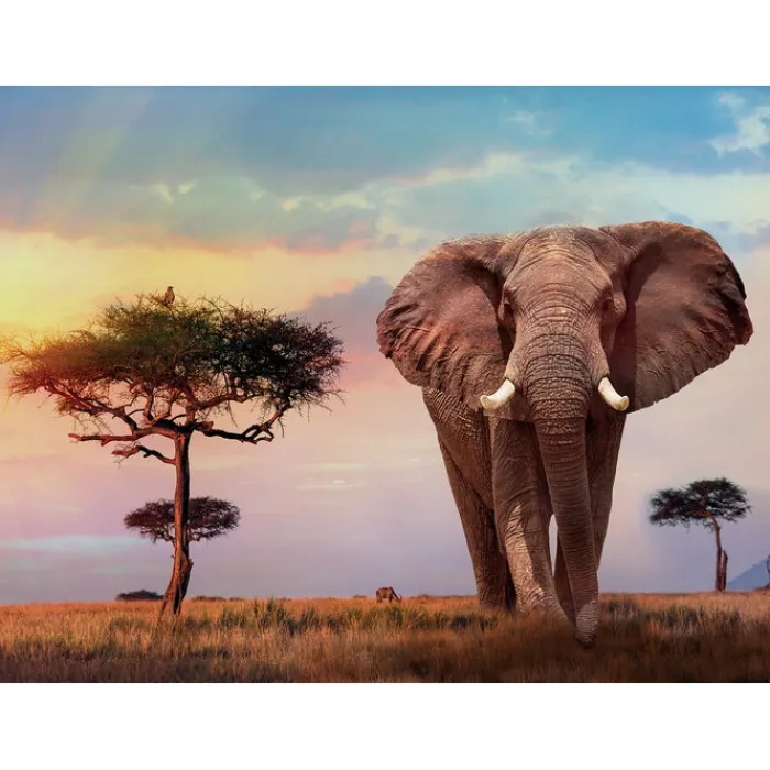 African Sunset - 500 pezzi^Clementoni Clearance