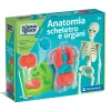 Anatomia Scheletro e Organi^Clementoni Hot