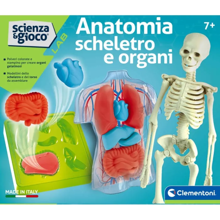 Anatomia Scheletro e Organi^Clementoni Hot