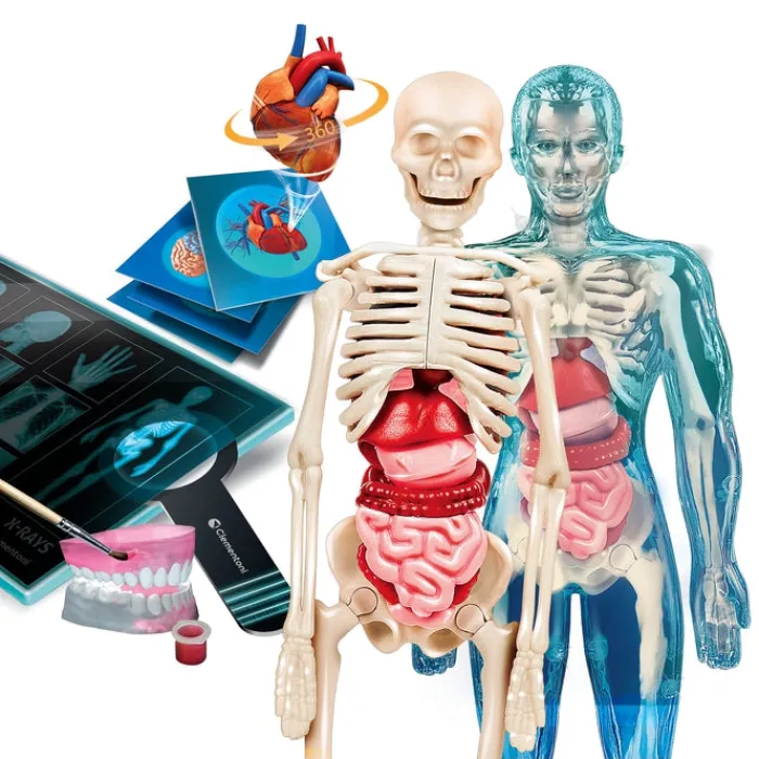 Anatomia Super!^Clementoni Discount
