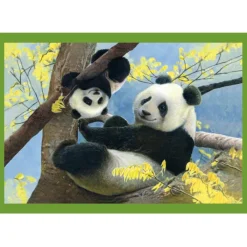 Baby Cuddles - 1x12 + 1x16 + 1x20 + 1x24 pezzi^Clementoni Clearance
