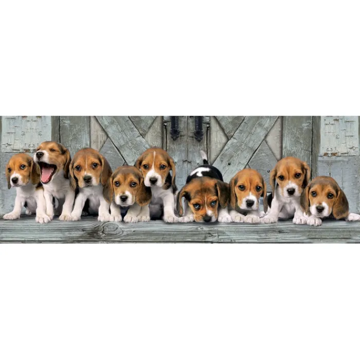 Beagles - 1000 pezzi^Clementoni Sale