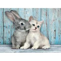 Cat & Bunny - 500 pezzi^Clementoni Outlet