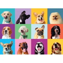 Funny Faces - 300 pezzi^Clementoni Outlet