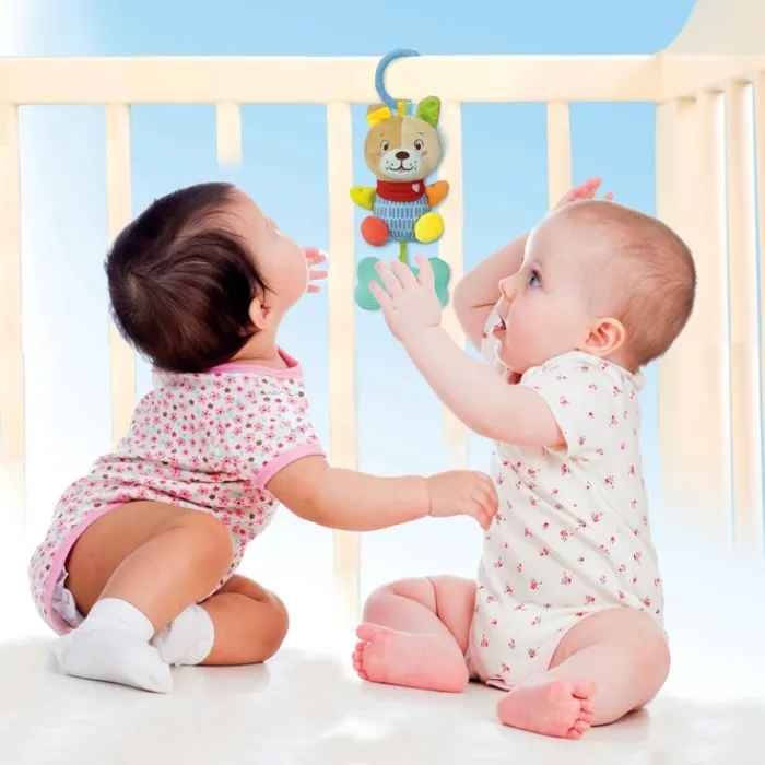 Lovely Soft Dog Rattle^Clementoni New