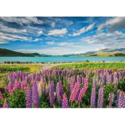 Lupins at Lake Tekapo - 1500 pezzi^Clementoni Hot