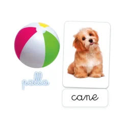 Montessori carte - Prime parole^Clementoni New