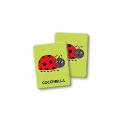 Montessori Flashcards - Primo Memo^Clementoni Online