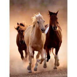 Running Horses - 1000 pezzi^Clementoni Best