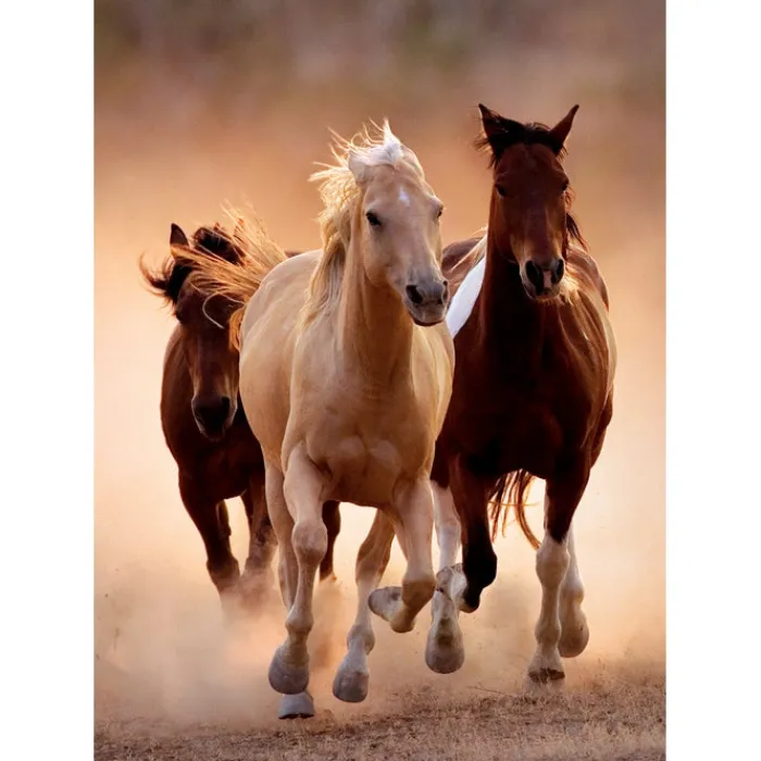 Running Horses - 1000 pezzi^Clementoni Best