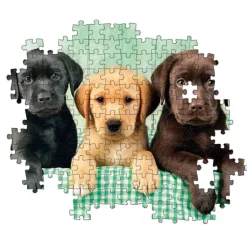Three Labs - 1000 pezzi^Clementoni