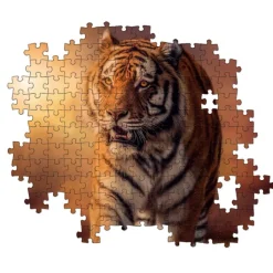 Tiger - 1500 pezzi^Clementoni
