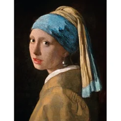 Vermeer,^Clementoni Clearance